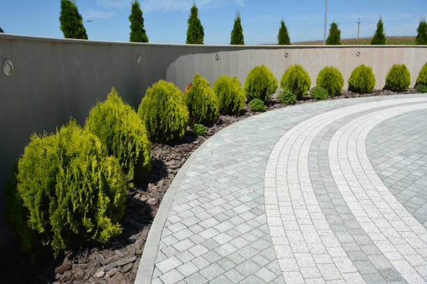 Driveway Repair Near Me in St Lawrence, PA